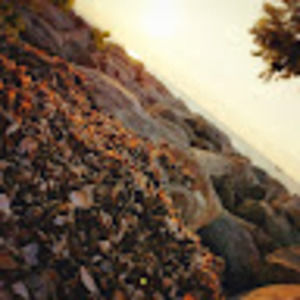 Meet your Posher, Dylan